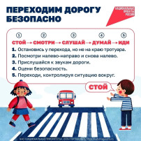 Переходим дорогу безопасно! Переходим дорогу безопасно!.